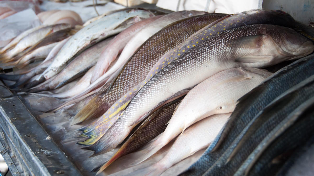 ЕС обсудит ограничения на ввоз российской рыбы