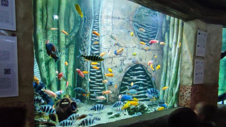 В Севастополе открыли аквариум, пострадавший от шторма в ноябре 2023 года