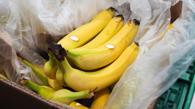 Эквадор ужесточил контроль за поставщиками бананов в Россию