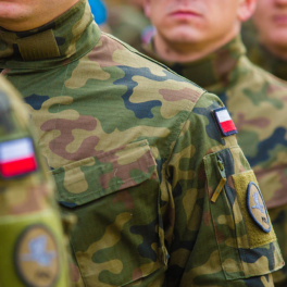 Польша не будет отправлять свои войска на Украину