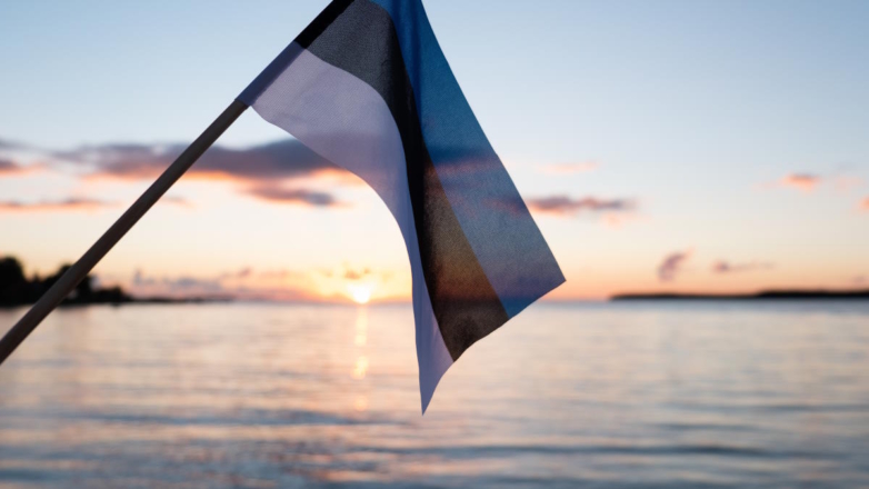 Раскрыта причина повреждения подводного кабеля между Эстонией и Финляндией