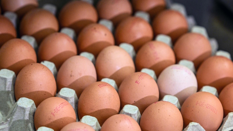 Поставки яиц в Россию из Белоруссии выросли в 2,7 раза