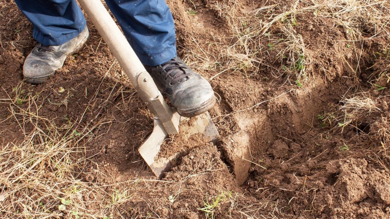 Когда перекапывать почву на участке для посадок и как определить ее готовность: советы эксперта