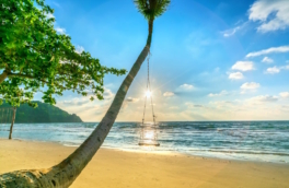 На какие курорты Вьетнама поехать весной: топ лучших мест