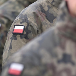 Польша не намерена отправлять войска на Украину