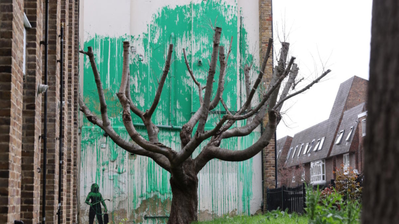 Новая работа Бэнкси в виде дерева с листвой появилась в Лондоне
