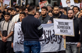 Bild: в Гамбурге исламисты на демонстрации потребовали создать халифат в Германии
