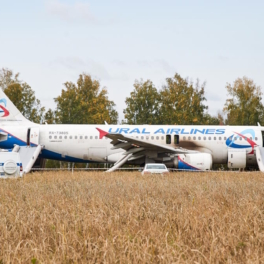 Посадивший самолет в поле под Новосибирском пилот ушел в таксисты