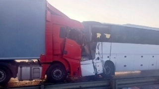 В Рязанской области в ДТП с автобусом погиб человек, еще 13 пострадали