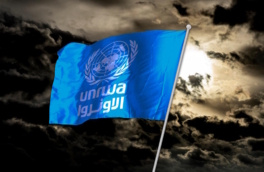 ООН признала участие сотрудников своего агентства в атаке на Израиль