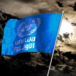ООН признала участие сотрудников своего агентства в атаке на Израиль