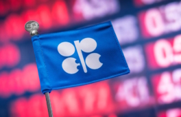 РФ сократила добычу нефти, но остается крупнейшим поставщиком для Индии – ОПЕК