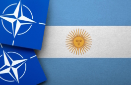 Аргентина подала заявку на присоединение к НАТО в качестве глобального партнера