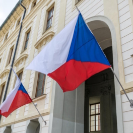 Глава МО Чехии: Прага готова поддержать инициативу ФРГ по укреплению ПВО Украины