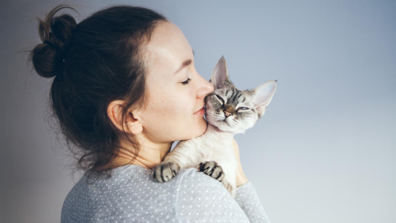 Влияние кошек на психическое здоровье: мифы и реальность