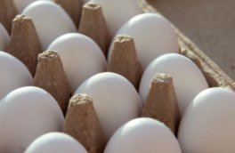 ЕС ввел пошлины на украинские сахар и куриные яйца