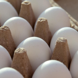 ЕС ввел пошлины на украинские сахар и куриные яйца
