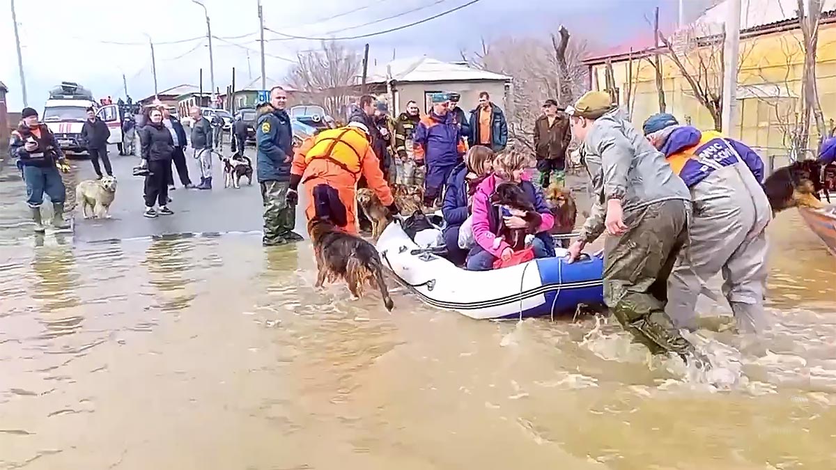 ЧС федерального характера объявили в Оренбургской области из-за паводка