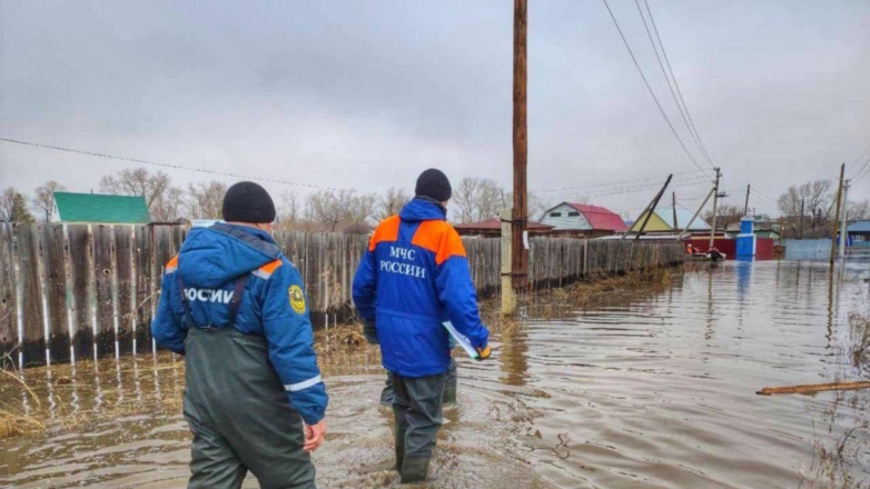 В шесть населенных пунктов Курганской области зашли паводковые воды