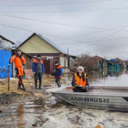 Более 11,5 тысяч жителей Курганской области пострадали от паводка в 2024 году