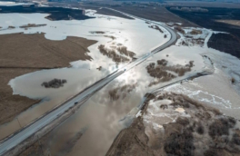 В Тюменской области уровень воды в реке Ишим у одноименного города вырос на три метра