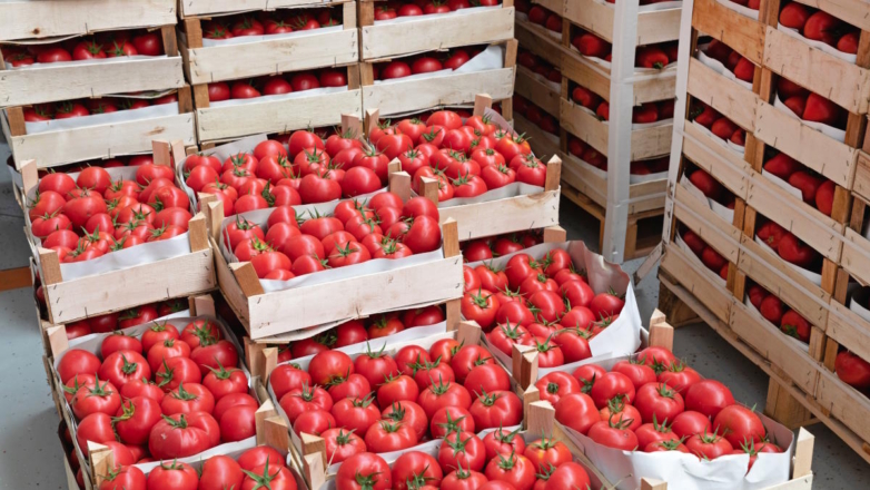 Власти РФ отменили пошлины на ввоз томатов в объеме до 100 тыс. тонн