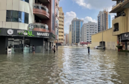 ОАЭ отремонтируют жилые дома за $544,6 млн после разрушительных ливней