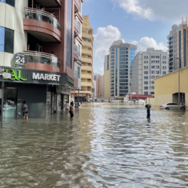 ОАЭ отремонтируют жилые дома за $544,6 млн после разрушительных ливней