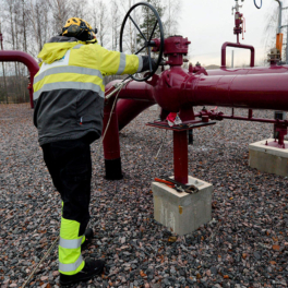 Соединяющий Финляндию и Эстонию газопровод запустили после аварии