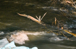 Уровень воды в реке Ишим достиг критериев опасного явления