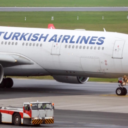 В Росавиации прокомментировали отмену рейсов Turkish Airlines