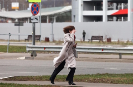 Жителей Москвы и области предупредили об усилении ветра