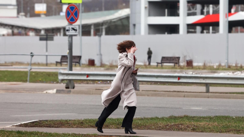 Жителей Москвы и области предупредили об усилении ветра