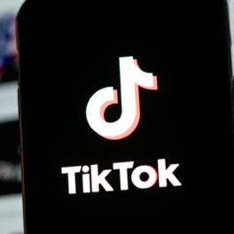 В Евросоюзе могут запретить TikTok