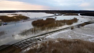 Уровень воды в реке Ишим в тюменском селе Викулово за день повысился