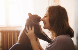 Эксперт назвал 5 приемов, которые помогут укрепить связь с кошкой