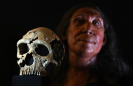 Восстановлено лицо неандертальца, жившего 75 тыс. лет назад