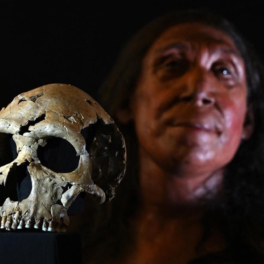 Восстановлено лицо неандертальца, жившего 75 тыс. лет назад