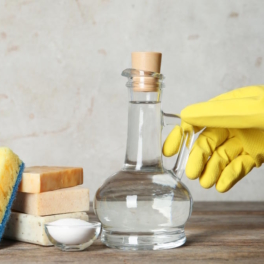 Только не уксус: 7 предметов в доме, которые нельзя чистить этим средством