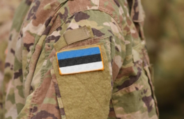 Эстония рассматривает возможность переброски войск на запад Украины