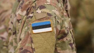 Эстония рассматривает возможность переброски войск на запад Украины
