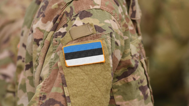 В Эстонии заявили о готовности отправить войска на Украину