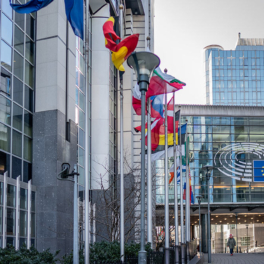 Бельгия хочет согласовать 14-й пакет антироссийских санкций до конца июня