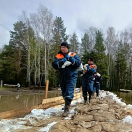 В Омской области введен режим ЧС федерального уровня из-за паводка