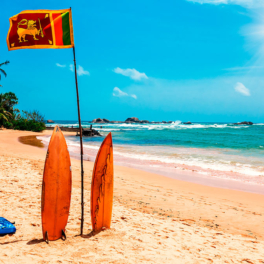 Шри-Ланка продлила выдачу бесплатных виз российским туристам на неопределенный срок