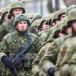 FT: парламент Литвы одобрил отправку войск на Украину с учебными целями