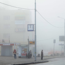 "Желтый" уровень погодной опасности из-за тумана объявили в Московском регионе в ночь на 22 мая