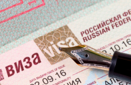 МИД: граждане ФРГ и КНР стали лидерами по заявкам на электронные визы в Россию