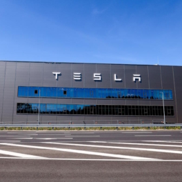 Bild: радикалы с красным флагом штурмуют единственный завод Tesla в Европе