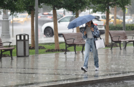 Москвичей предупредили о неблагоприятных погодных условиях в среду